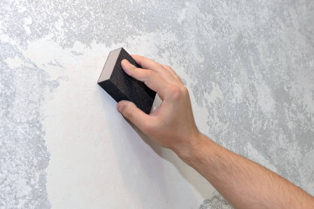 Best Dehumidification Services  in Parkston, SD