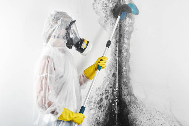 Best Indoor Air Quality Assessment  in Parkston, SD