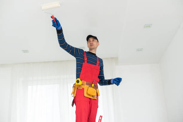 Best Industrial Mold Remediation  in Parkston, SD