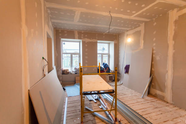 Best Black Mold Removal  in Parkston, SD
