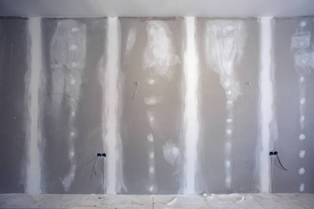 Trusted Parkston, SD Mold Removal Experts